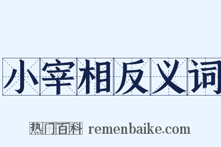 小宰相反义词是什么意思的图片